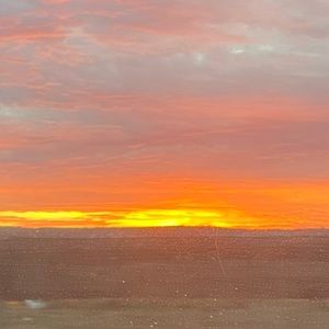 Meet your Posher, Libby